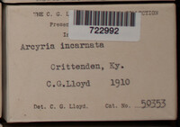Image Associated With the Occurence